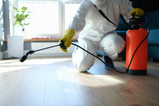 Reliable Odor Removal contractor in Pembroke Pines, FL by Dulley Family Biohazard Services